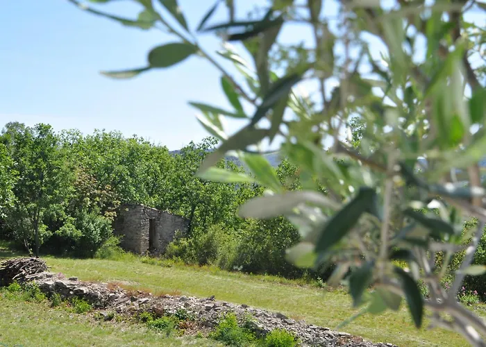 Domaine D'orus - Piscine Privee Vakantiehuis Bédarieux